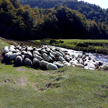 Gite Etxe Xuri Ossès Εξωτερικό φωτογραφία