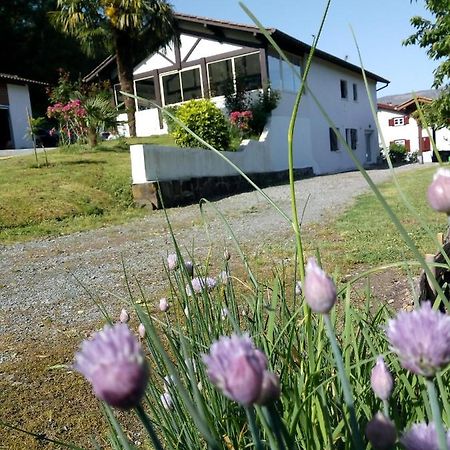 Gite Etxe Xuri Ossès Εξωτερικό φωτογραφία